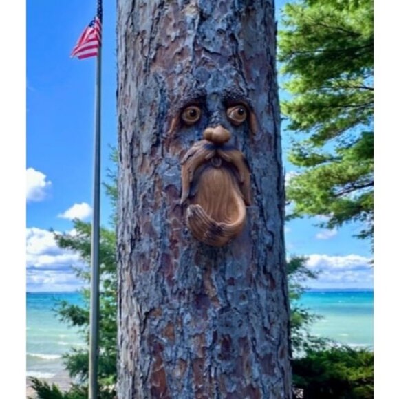 Tree Face, Tree Faces Outdoor, Tree Art, Tree Decorations Outdoor, Tree Faces - Picture 1 of 1